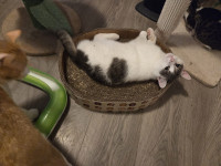 /album/262/whatsapp-image-2026-04-08-at-16-51-19-9-jpeg/